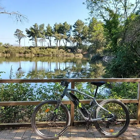 Casa Maresole A Di Numana アパート マルチェッリ